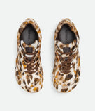 Male Female Orbit Sneaker Jaguar